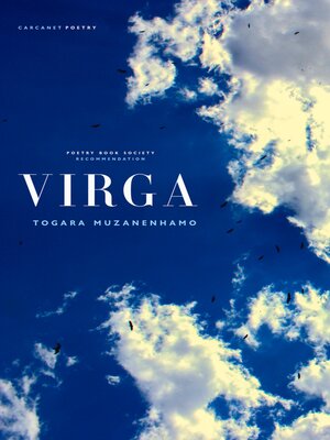 cover image of Virga
